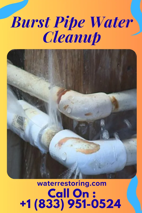 Burst Pipe Water Cleanup in Hickory Creek, TX